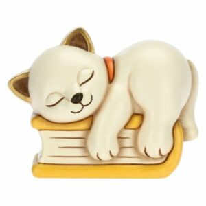 Gatto sul libro medio thun