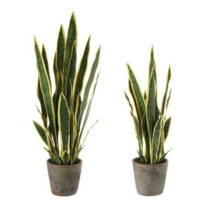 Sanseveria artificiale realistica con 2 vasi in ceramica- set 2 pz L'Oca Nera
