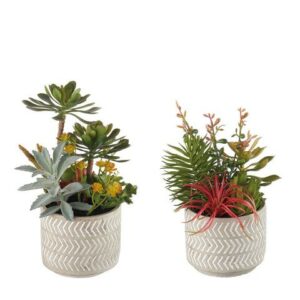 Composizione piante grasse artificiali con 2 vasi in ceramica- set 2 pz L'OCA NERA
