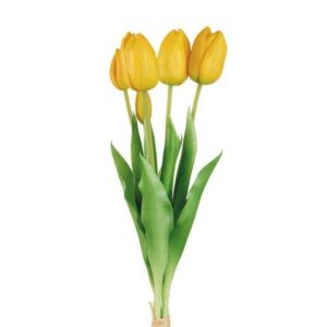 Tulipani gialli L' oca Nera