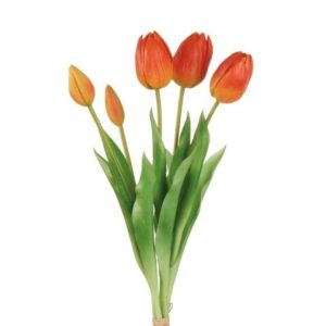 Tulipani arancioni- L'OCA NERA