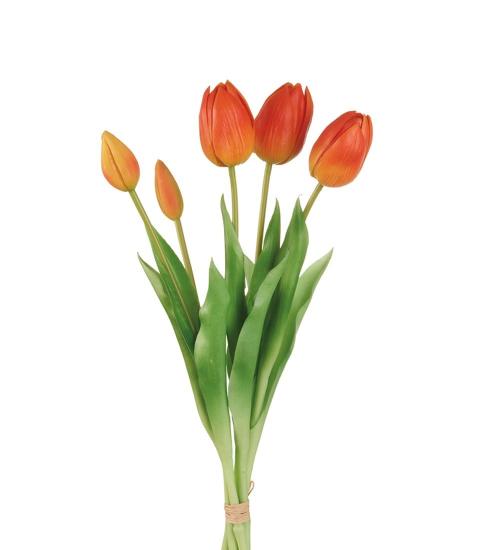 Tulipani arancioni- L'OCA NERA