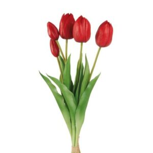 Tulipani rossi L'OCA NERA