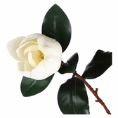 Magnolia Fiore, Maggie - Tessuto E Plastica Color bianco